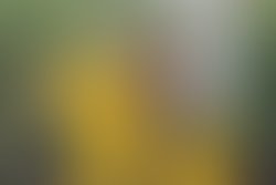 16463302 270014806737252 4169958966432039019 o