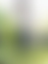 Img 20230514 145322 2