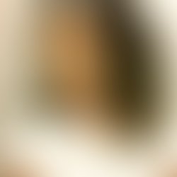 Artist 5594781 1490909779