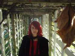 Image for Amber Spyglass