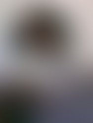 398418 289647324416952 205002315 n