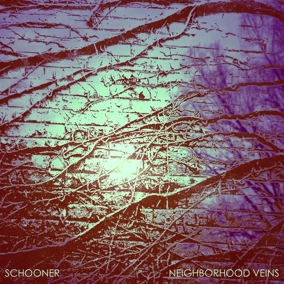 ReverbNation profile picture for @schooner