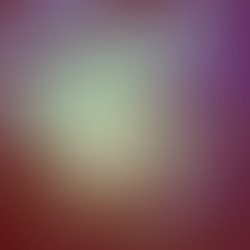 1379013478 schooner neighborhood veins cover tunecore