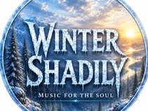 Winter Shadily