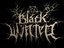 Black Winter