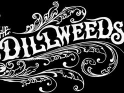 Image for The Dillweeds