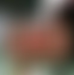 18033019 203952350108015 1317541376392345721 n