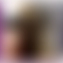 Screenshot 2026 02 18 at 11 37 50 pm