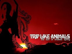Image for Trip Like Animals