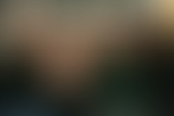 Img 20240213 wa0029 2 