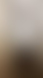 17388842 808695432614653 752687329854339561 o