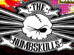 Image for The Numbskulls