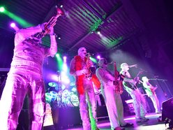 Image for Here Come The Mummies
