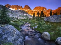 Wilderland