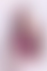 20117467 10212132483621110 1633953710 n
