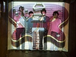 Image for The Guitars