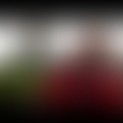 13256368 237408879983849 2393381946471973203 n