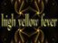 High Yellow Fever (Artist)