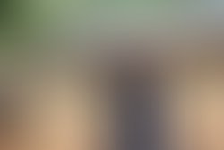 22712577 733287216881369 1654848835950071505 o