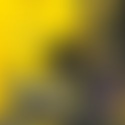 Webp net resizeimage