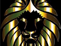 COVERT Investment Enterprises,LLC/Resolution Records