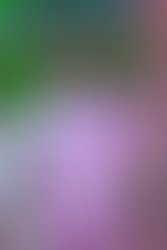 59922201 2408335362786251 259491186606080000 o