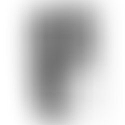 Boundary exception cover def