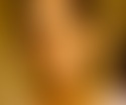 Artist 5644485 1485279505