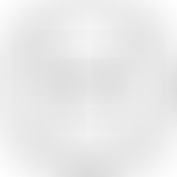 12513593 786687554770128 4695543794672275824 o