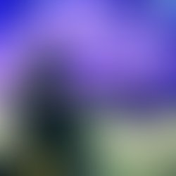 Img 20170131 041603