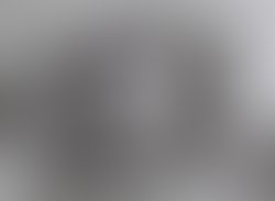 Wanderers press shot