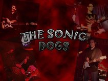 The Sonic Dogs