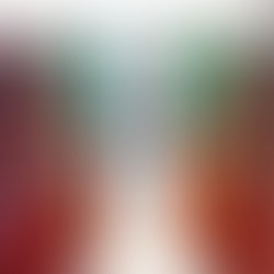 Tilii banner 2