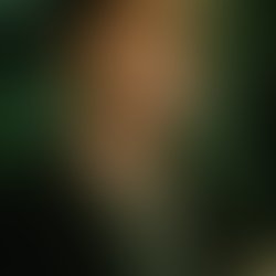 Artist 5649240 1485578448