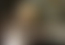 Sue sunglasses
