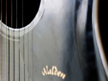 The Best Guitarist