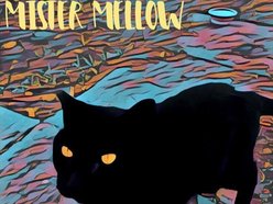 Mister Mellow