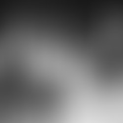 Artist 5655352 1485992029