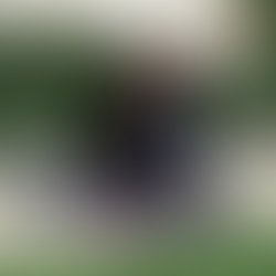 Artist 5658805 1522282106