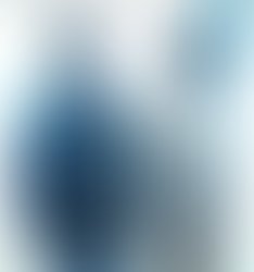 Img 20171224 wa0040 1