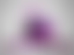 2df00017 1620 4e97 a737 87ef2c9a2834 317 000000187948dfe8