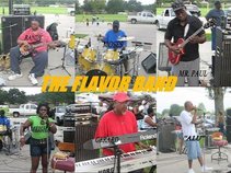 THE FLAVOR BAND
