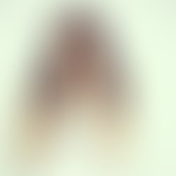 D2729601fdc0d9e01a166e67822887fe6778ab20