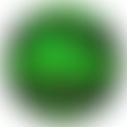 Img 0613
