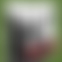 20526582 10154673677142791 779993077 n