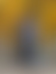 Received 160224681595698