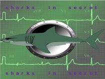 Sharks In Secret