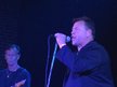 The Watt Brothers Band