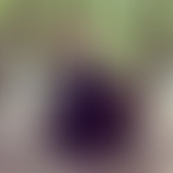 2761c24a7a14af5a7ae6c5fc45972652df1d8b8d