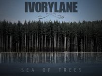IVORYLANE